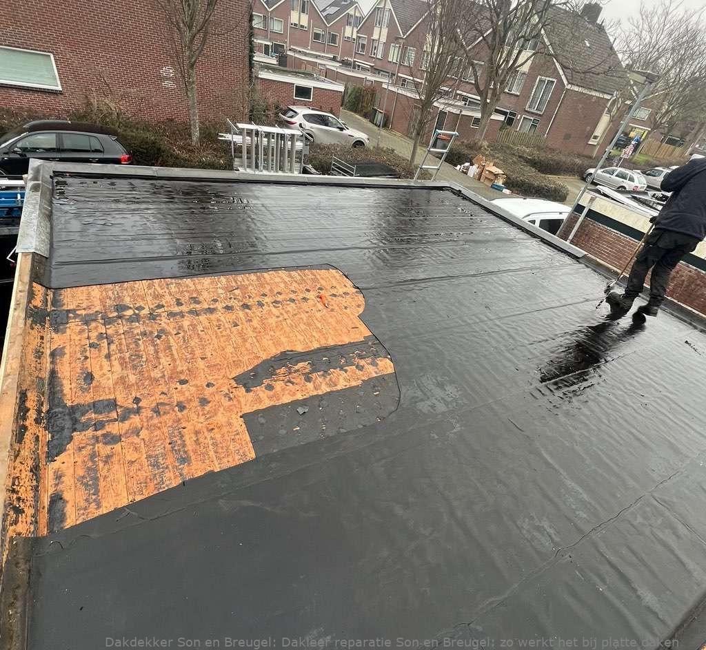 Dakleer Reparatie Son En Breugel