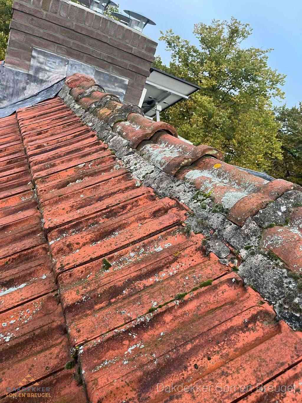 Renovatie Hellend Dak Sonenbreugel