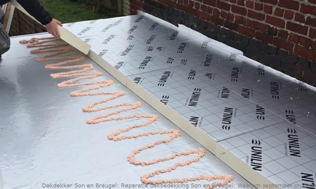 Reparatie Dakbedekking Son En Breugel