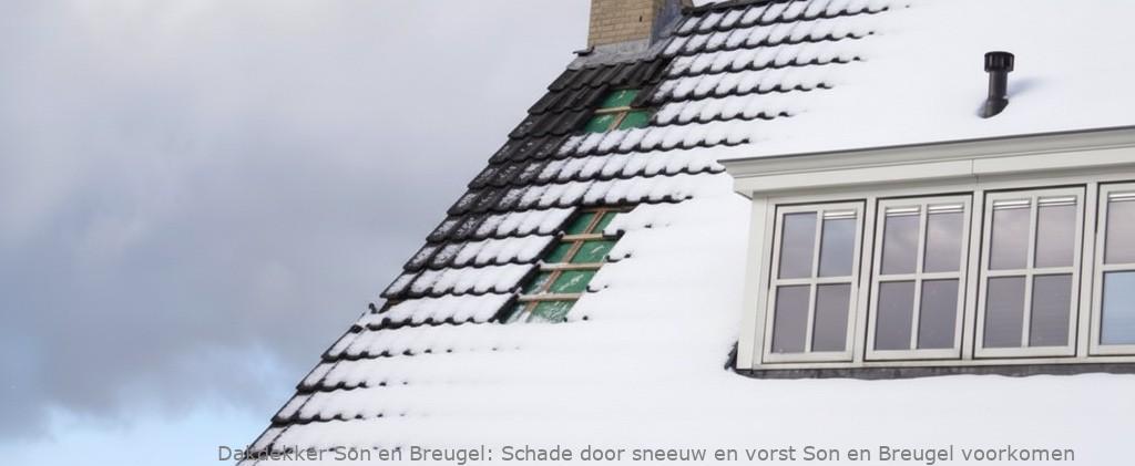 Schade Door Sneeuw En Vorst Son En Breugel