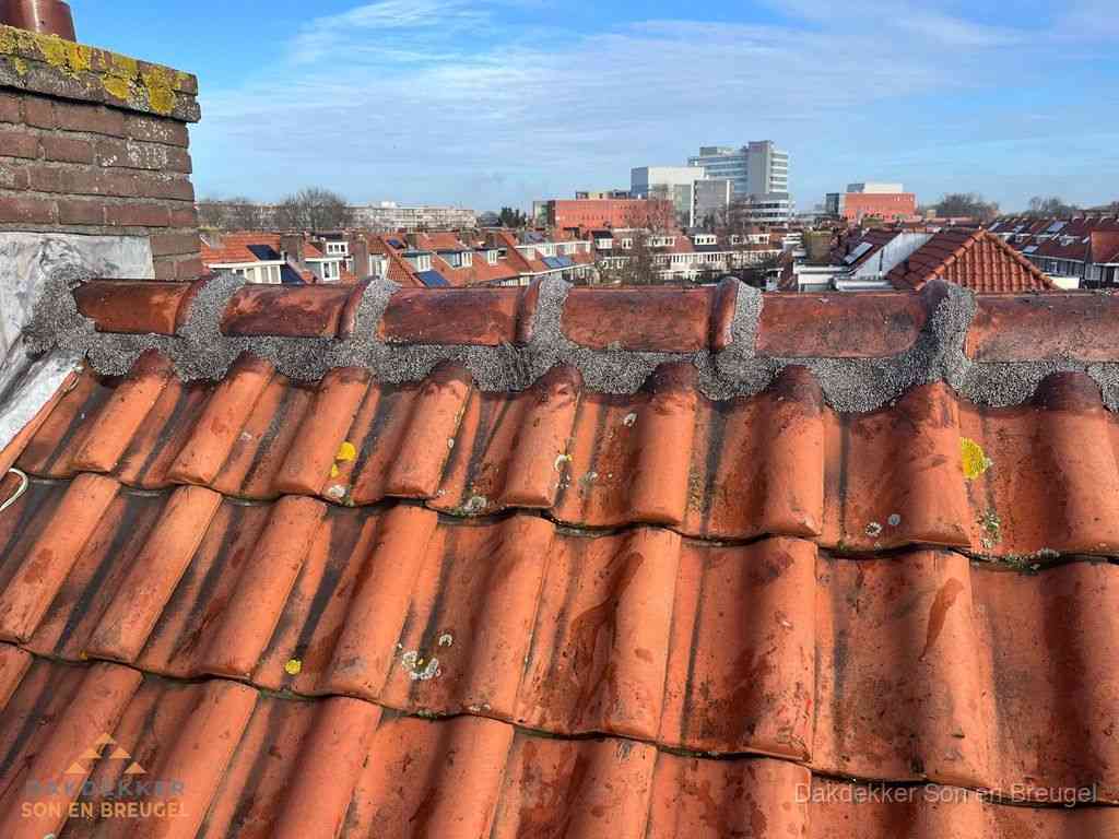 Sonenbreugel Daken Renoveren