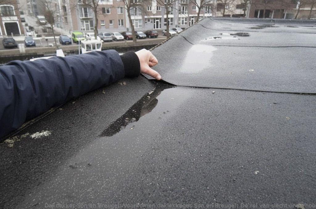 Voorkomen Daklekkages Son En Breugel